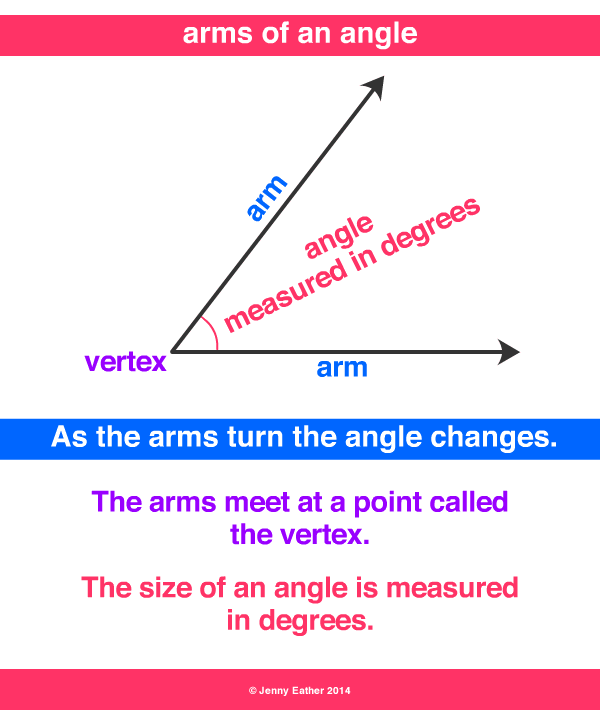 arms of an angle