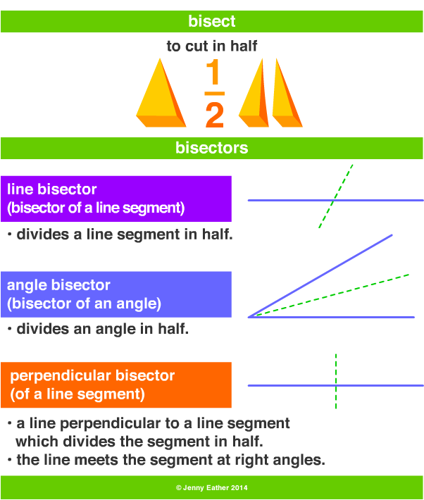 bisect