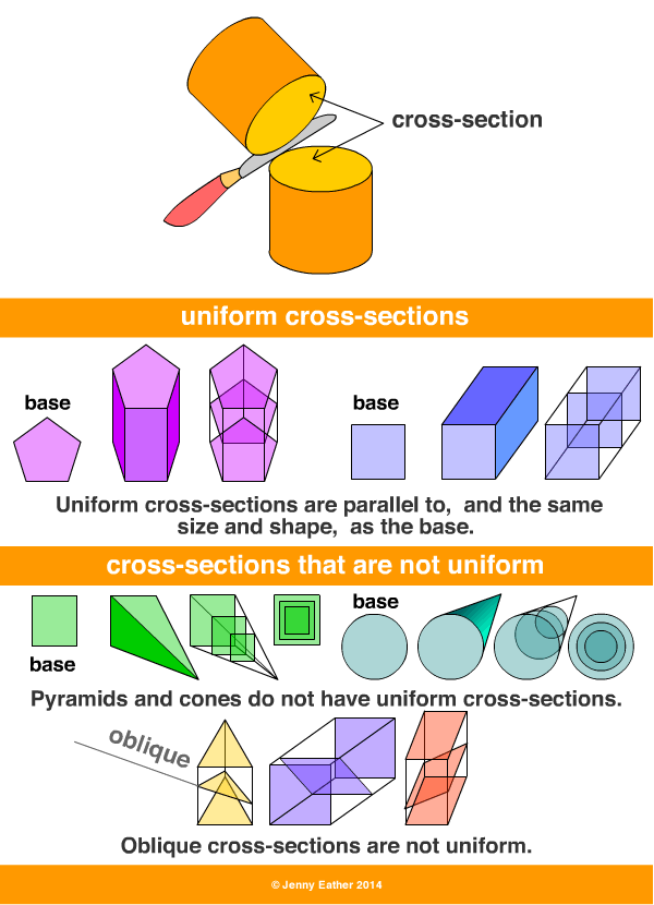 cross-section ~ A Maths Dictionary for Kids Quick Reference by Jenny Eather