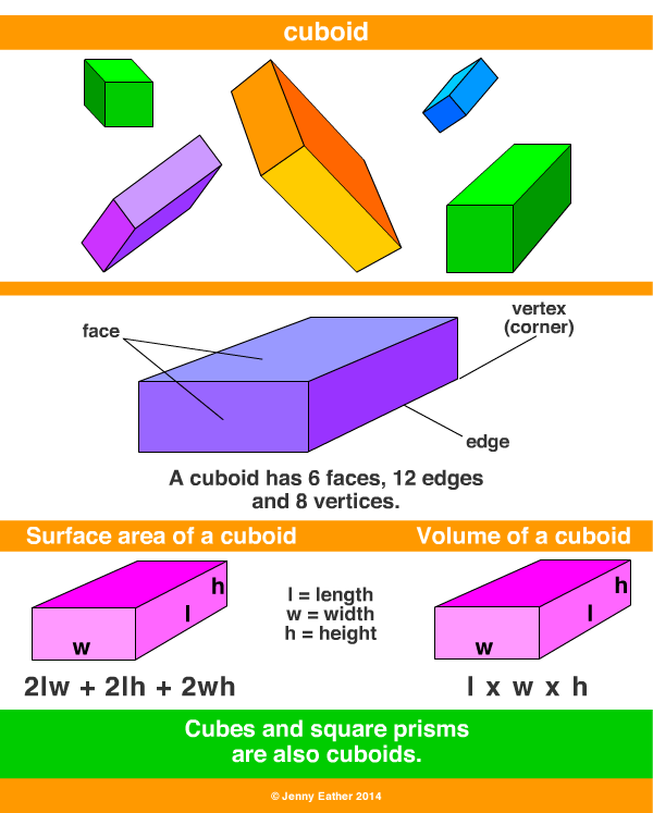 cuboid