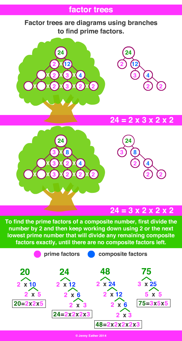 factor tree