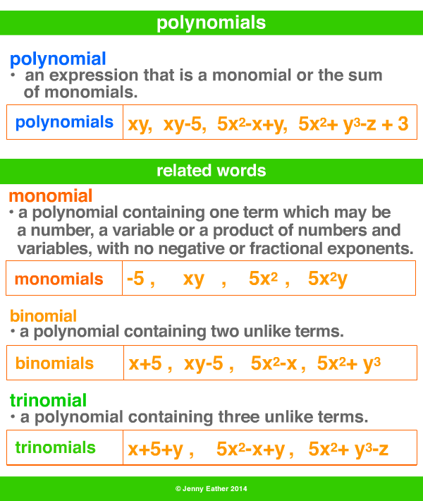 polynomial