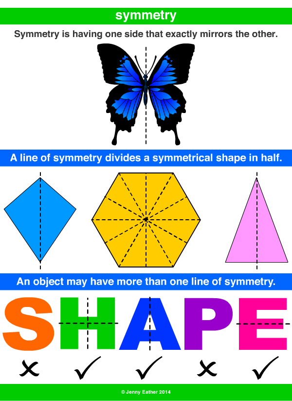 line of symmetry