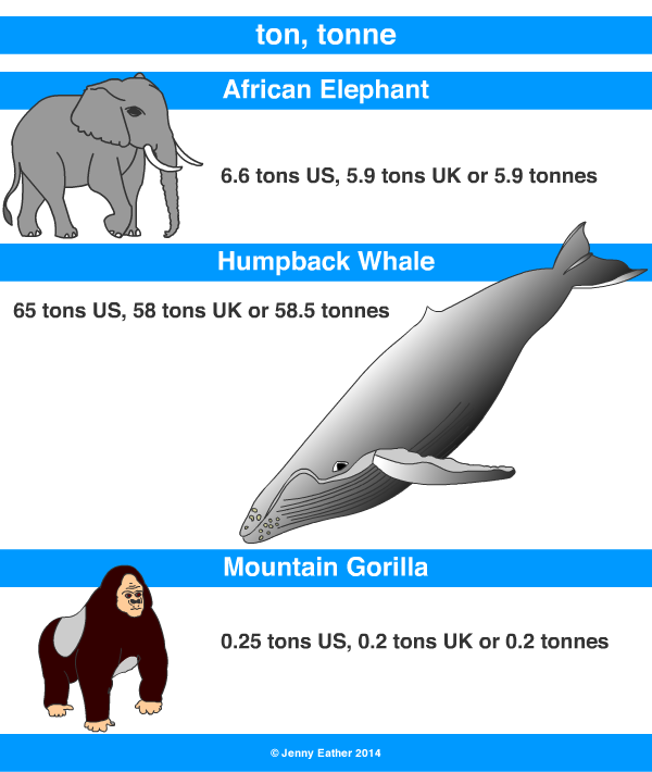 Ton Tonne A Maths Dictionary For Kids Quick Reference By Jenny Eather