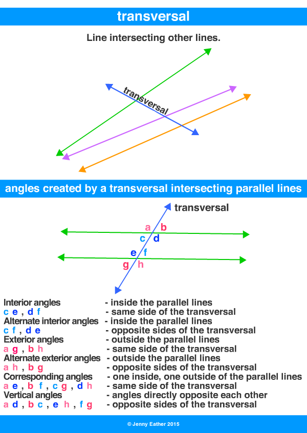 transversal